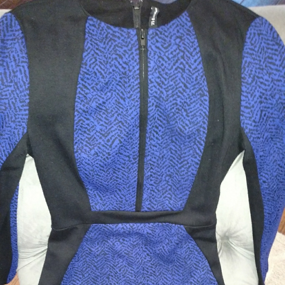 Walter Baker Dress